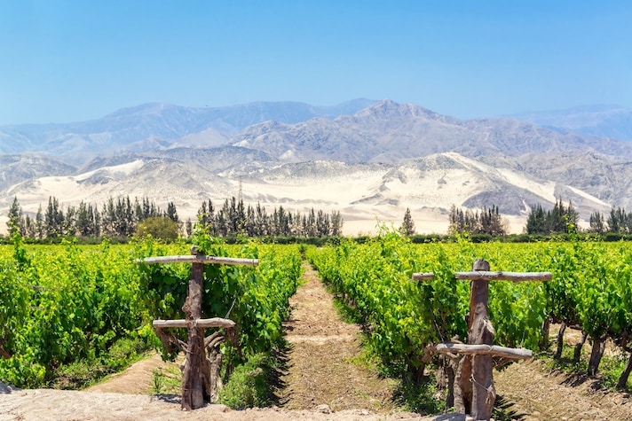 pisco-peru-cile