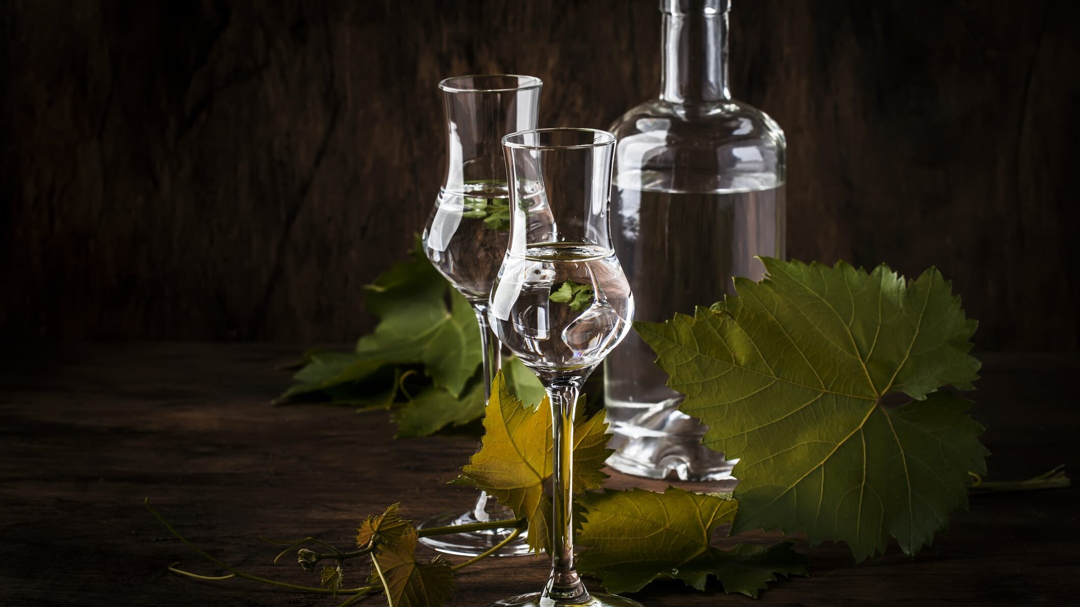 pisco