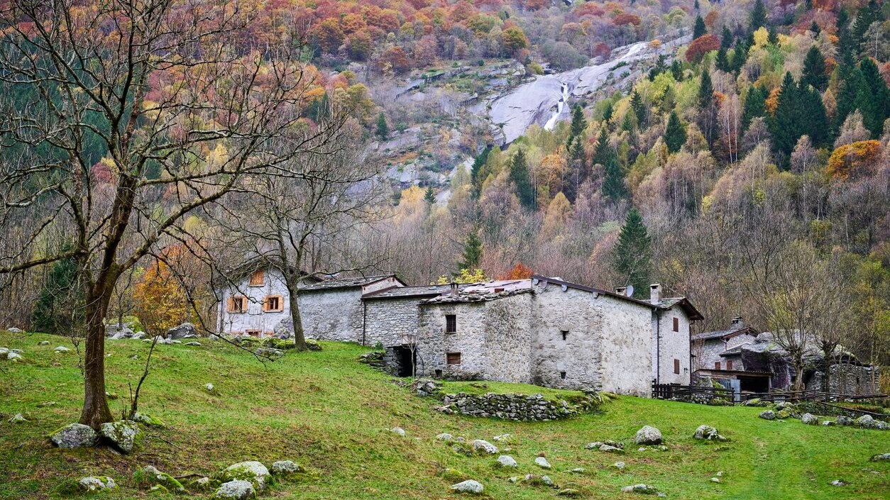 Immagine