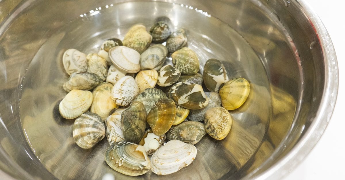 Come capire se le vongole sono fresche: consigli e trucchi per riconoscerle