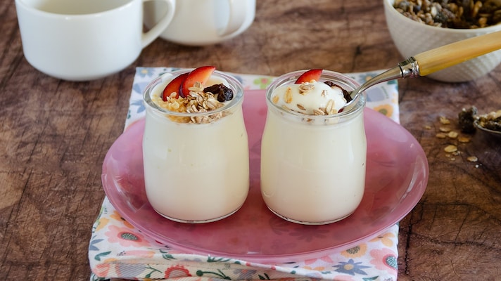 Yogurt vegetale fatto in casa