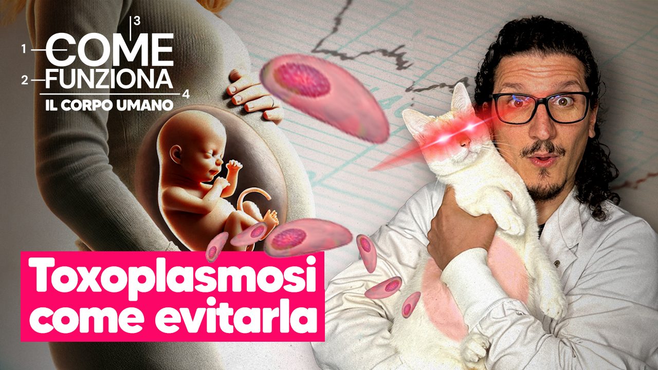 toxoplasmosi e alimenti vietati