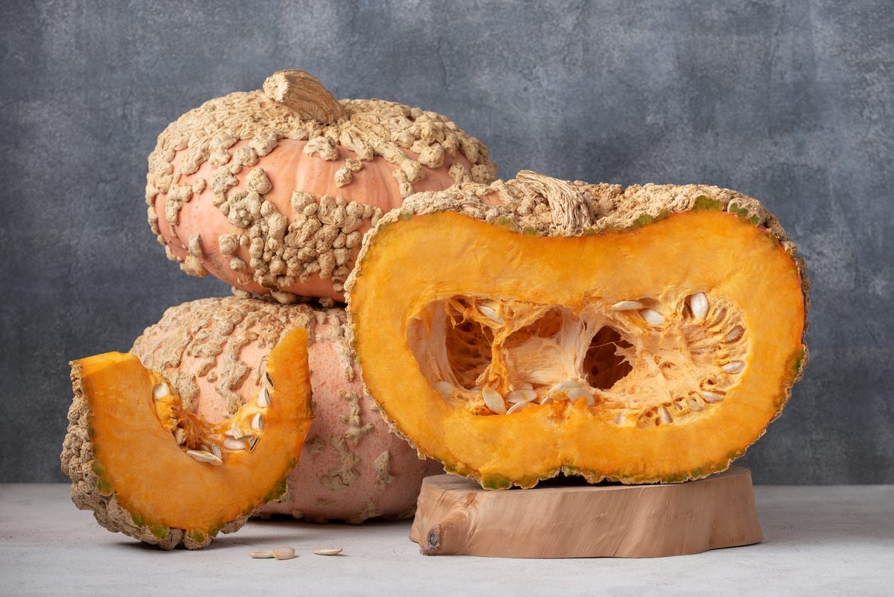 Zucca gallosa o nocciolina: la particolare varietà francese dal gusto unico