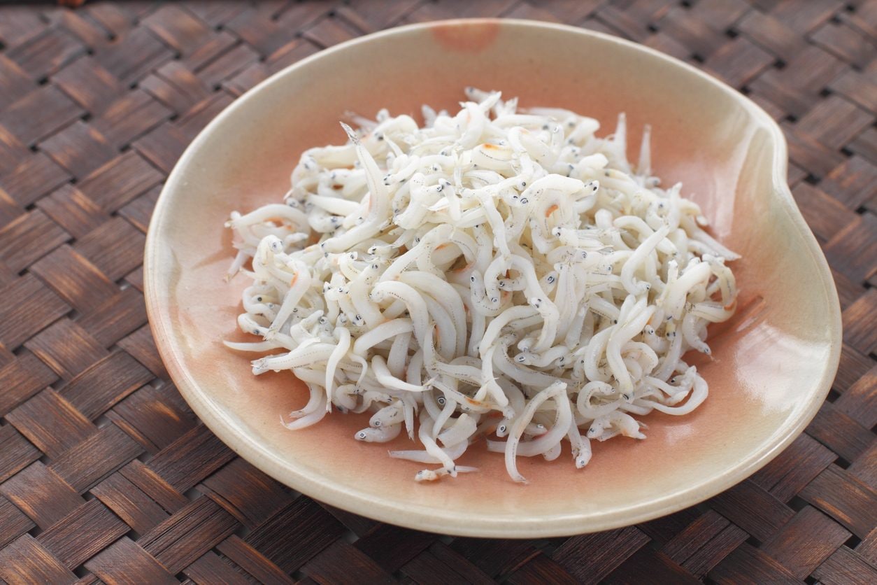 Cosa sono i bianchetti e perché sono vietati