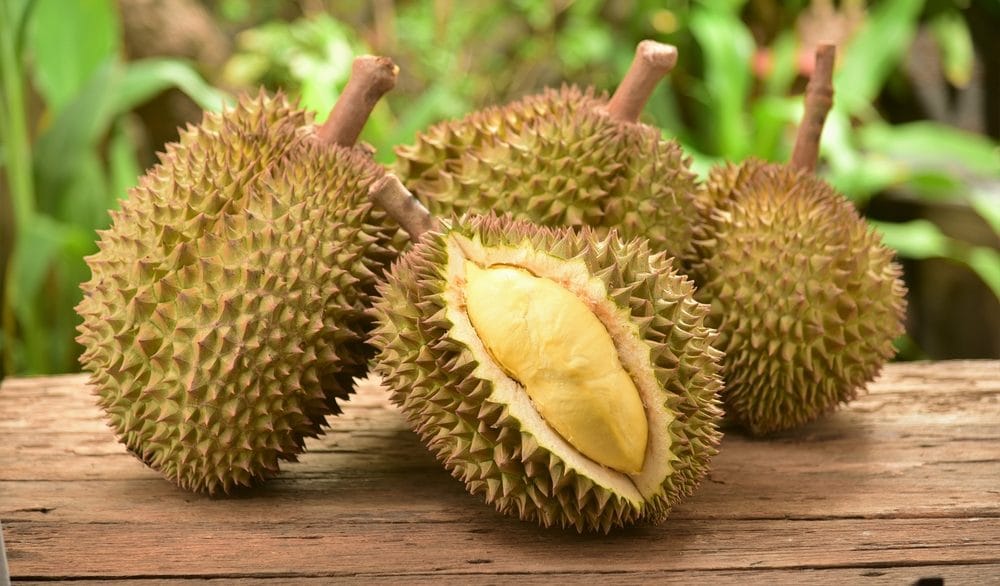 Durian, che cos'è il frutto puzzolente ma molto amato in Asia