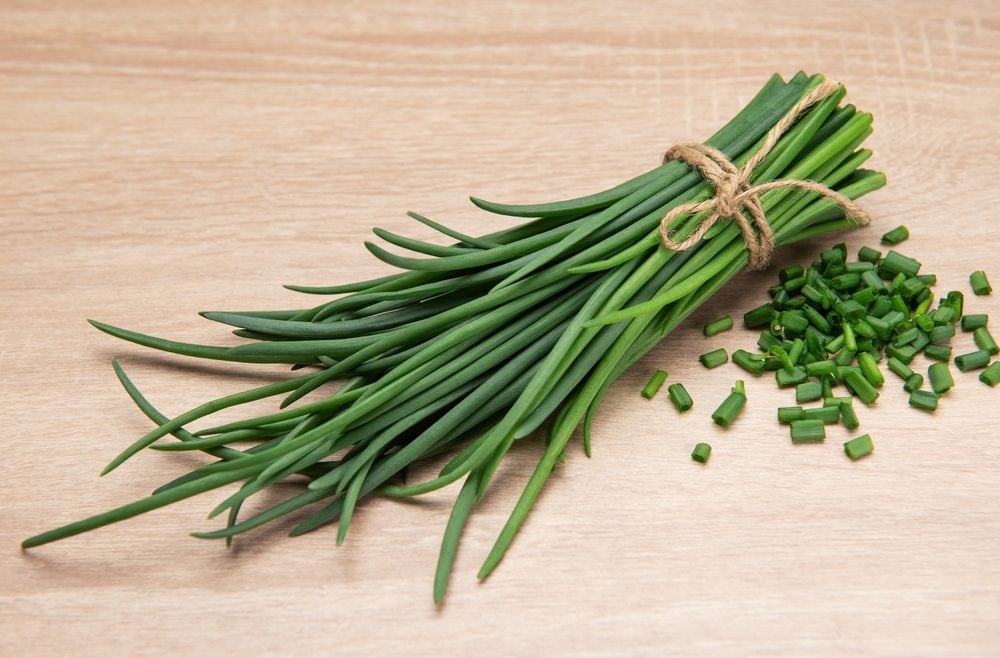 Erba cipollina: benefici, controindicazioni e usi