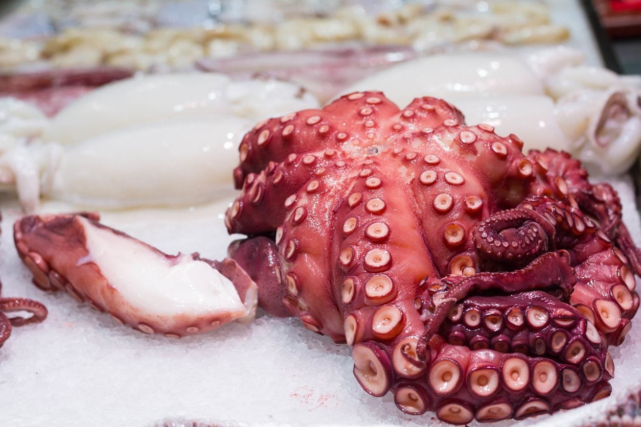 Polpo: benefici e controindicazioni