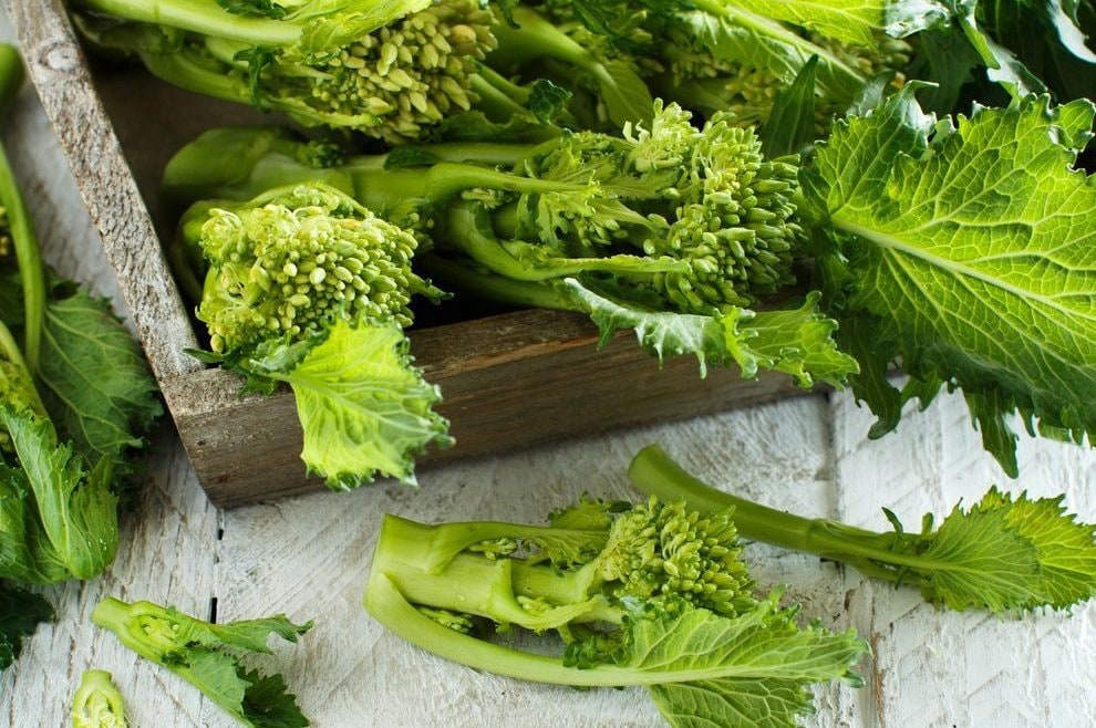 Come pulire e cucinare le cime di rapa: metodi, consigli e 8 ricette da provare