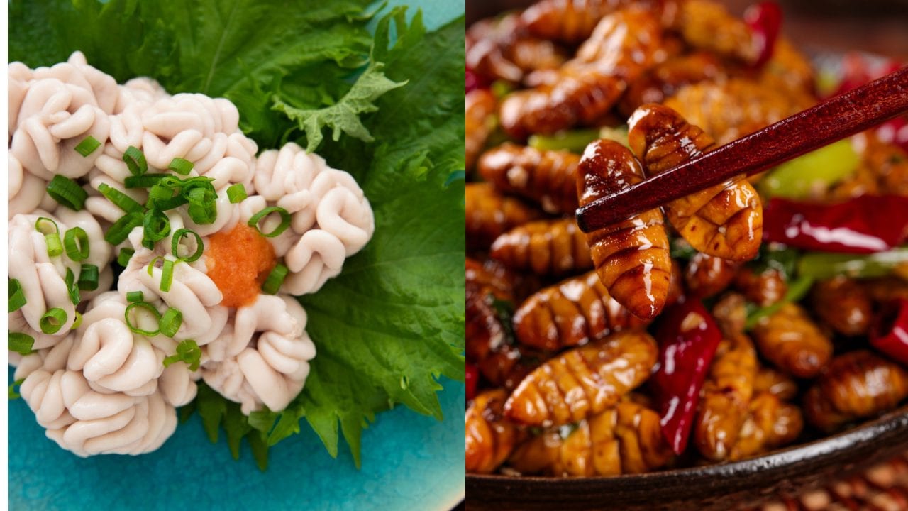 Balut, shirako e insetti fritti: quali sono gli street food più "strani" del mondo