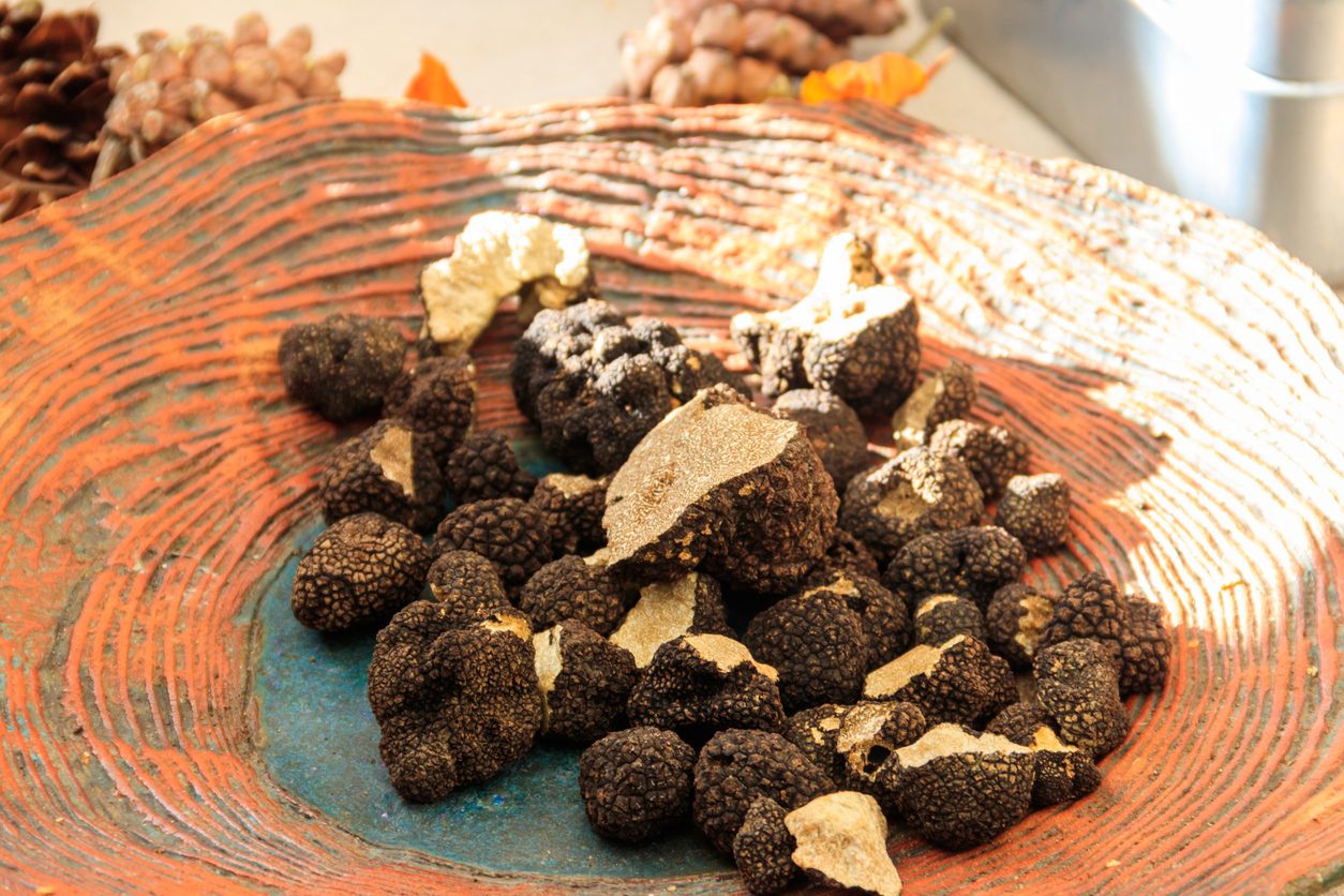 Tra i Boschi delle Madonie c'è un tesoro che non tutti conoscono: il tartufo nero siciliano