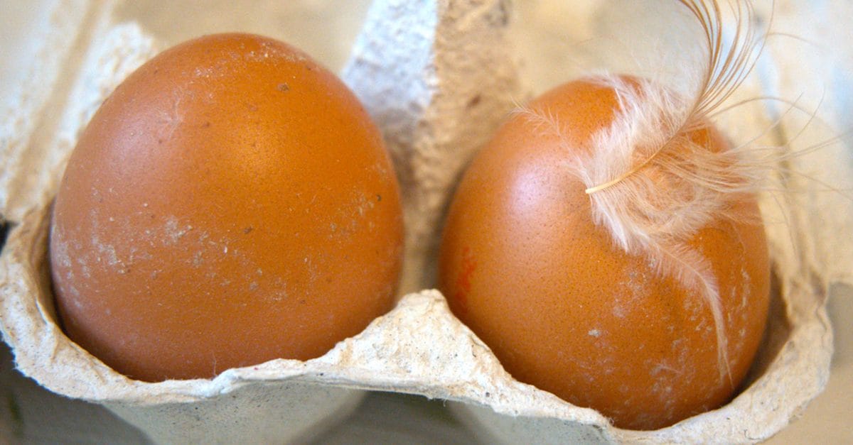 Tutti gli alimenti da non lavare prima della cottura