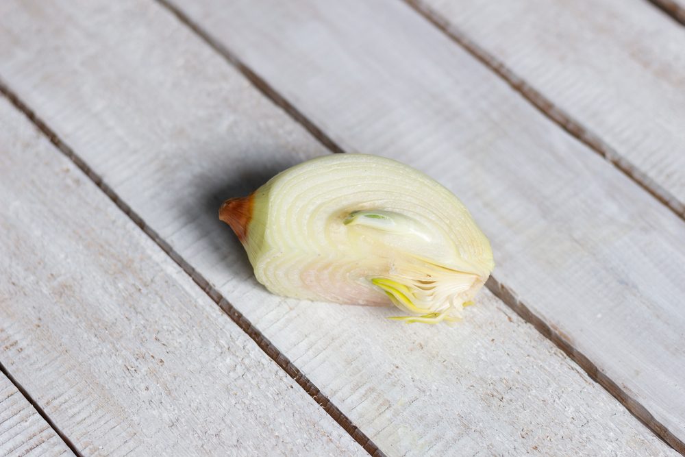 Quelli che trovi dentro la cipolla non sono parassiti: ecco cosa sono (e quando è meglio non mangiarla)