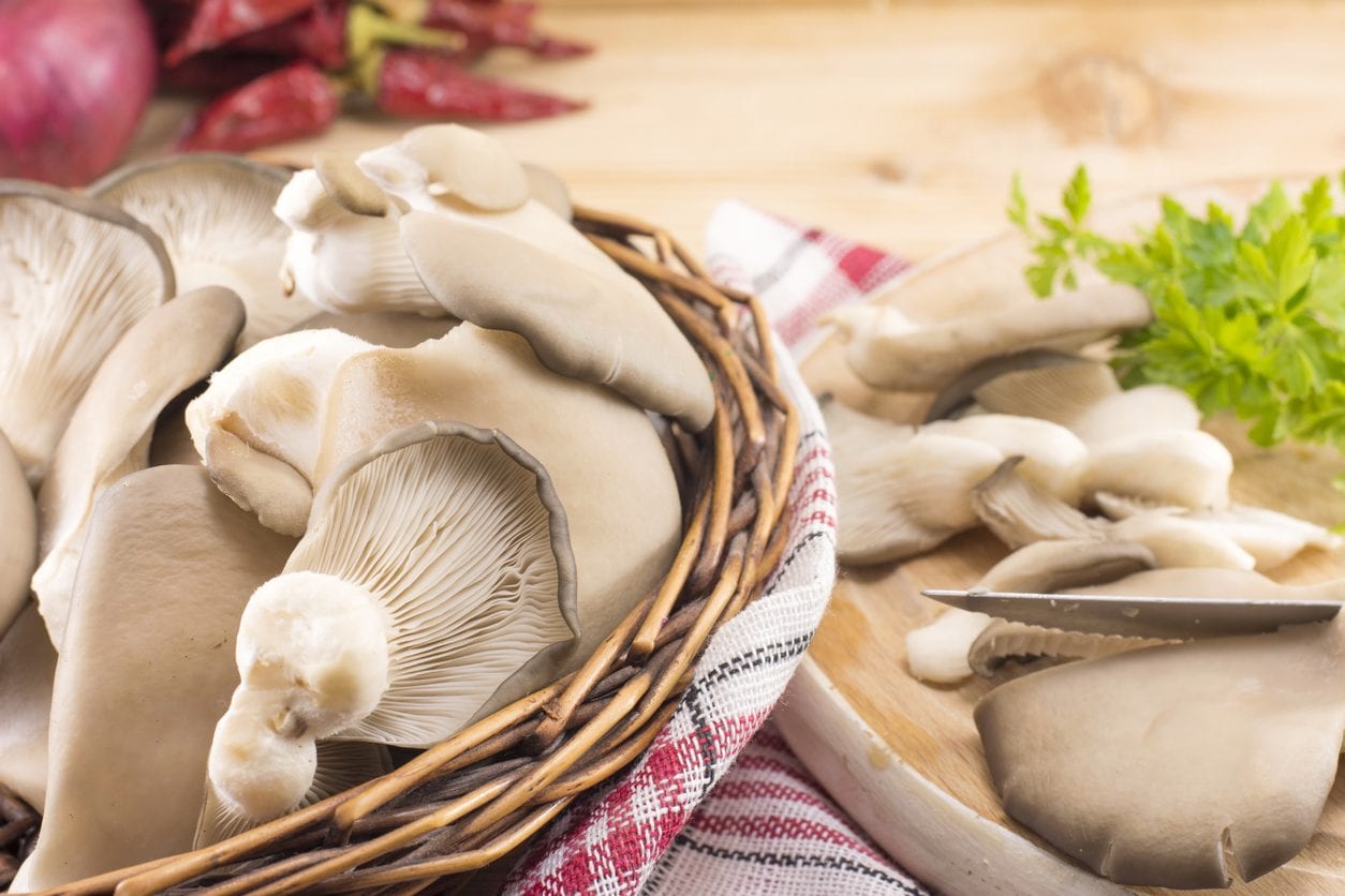 Funghi pleurotus: come sono fatti e come cucinarli