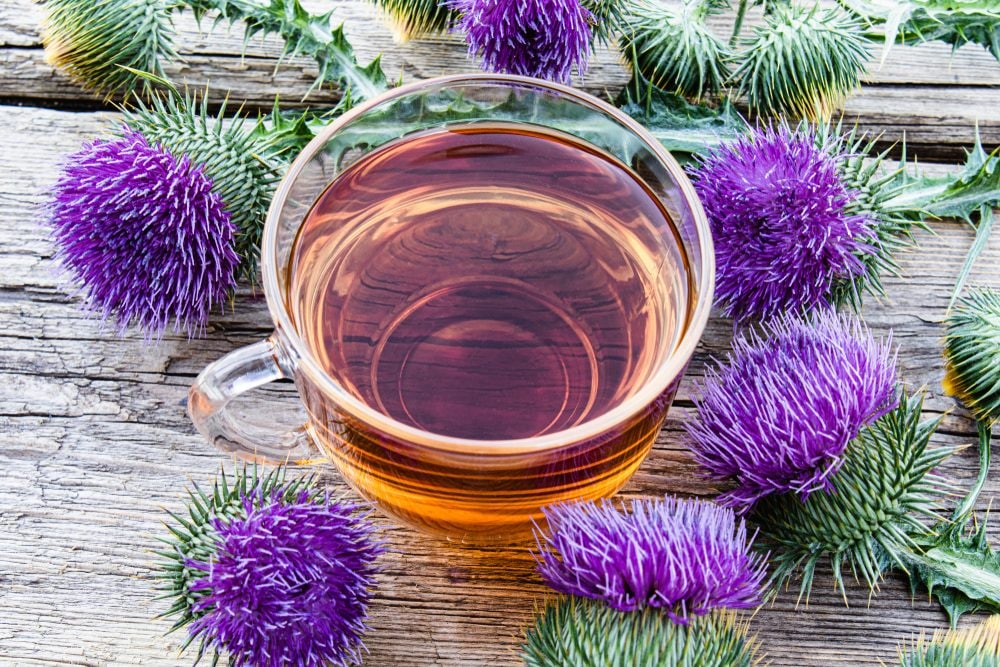 Le tisane depurative da provare per favorire leggerezza e benessere