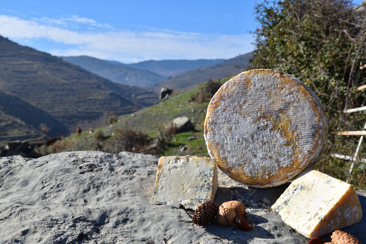 Per la community di TasteAtlas il migliore formaggio al mondo è greco, secondo posto per l'Italia