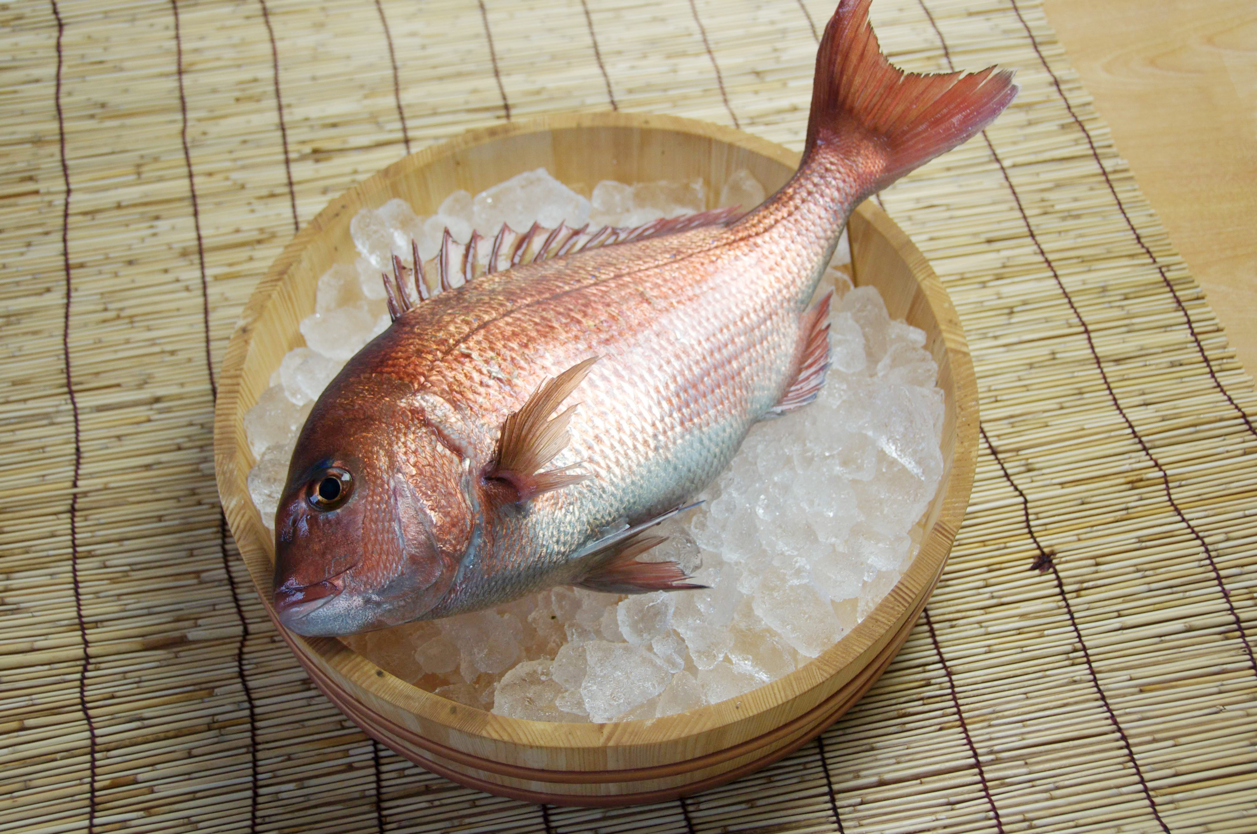 Pezzogna: cos'è, che proprietà ha e come usarla in cucina