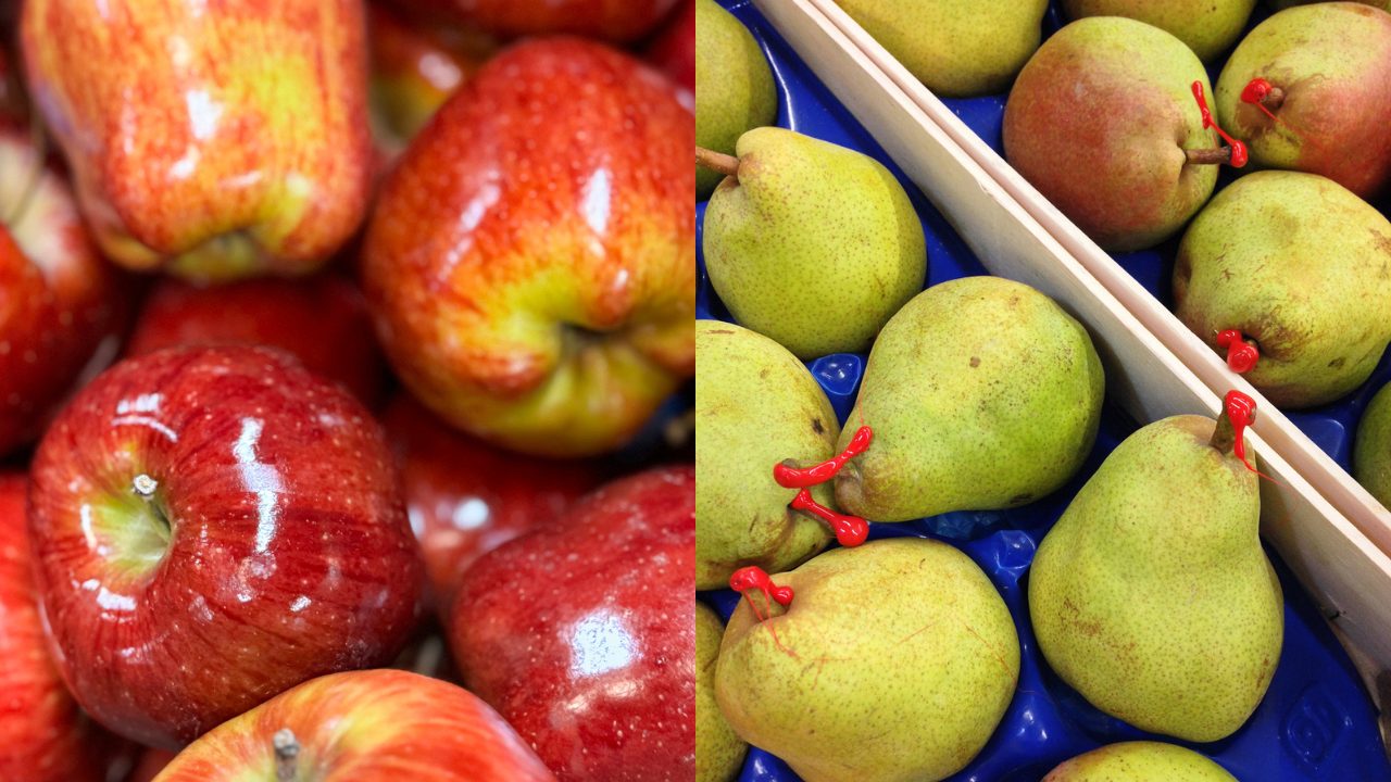 Cera sulla frutta: cosa c’è davvero, cosa dice la legge e cosa finisce nel piatto