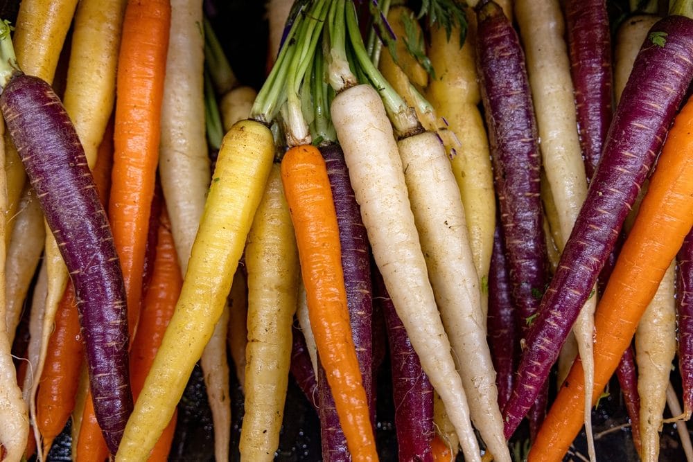 Carote bianche: come sono fatte e perché sono diverse da quelle arancioni