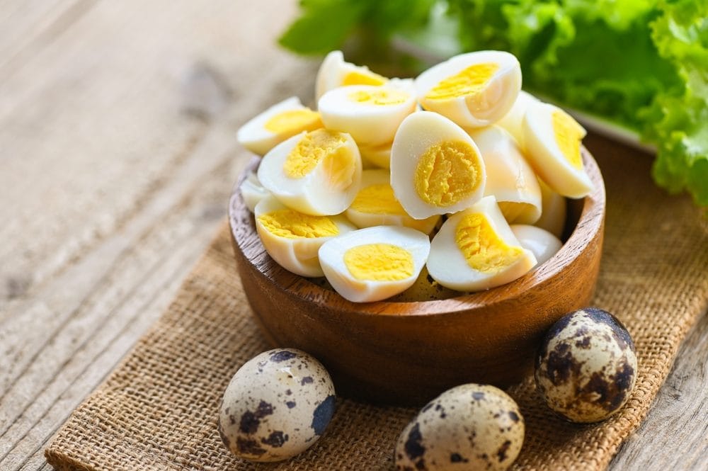 Uova di quaglia: come sono fatte, benefici e come usarle in cucina