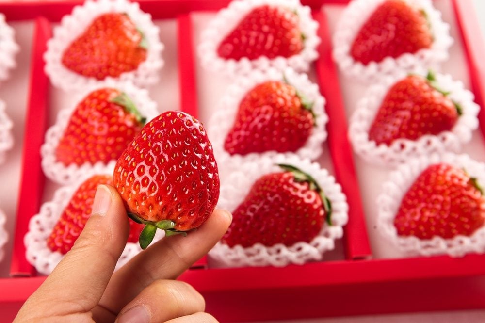Frutta di lusso: perché in Giappone costa tanto ed è diventata un regalo perfetto