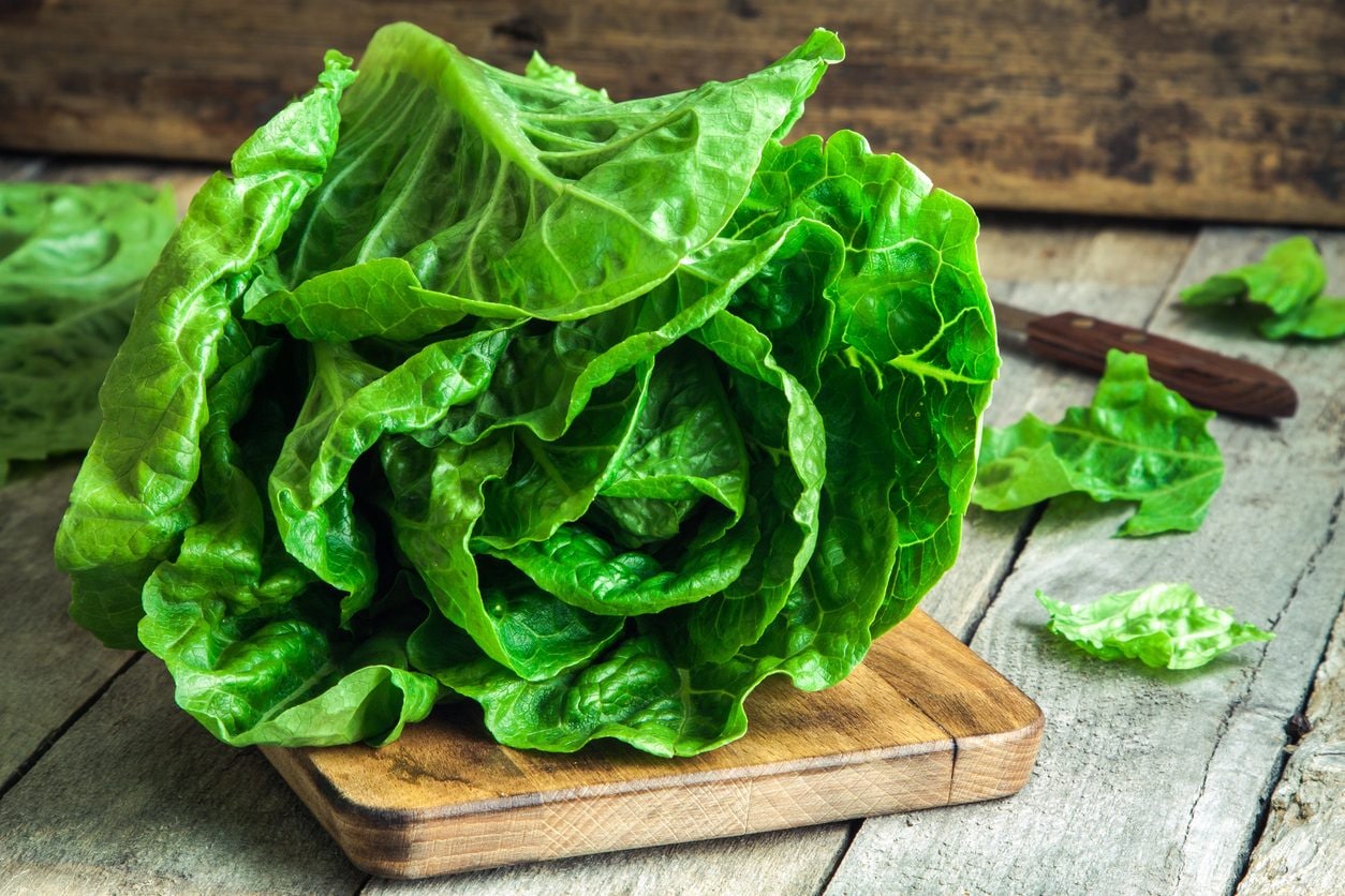 Lattuga: proprietà e benefici di questo straordinario vegetale