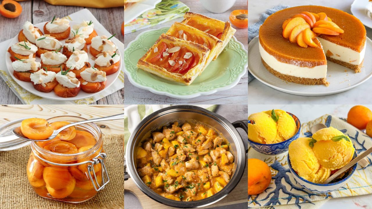 Ricette con le albicocche: 20 idee facili e golose da provare