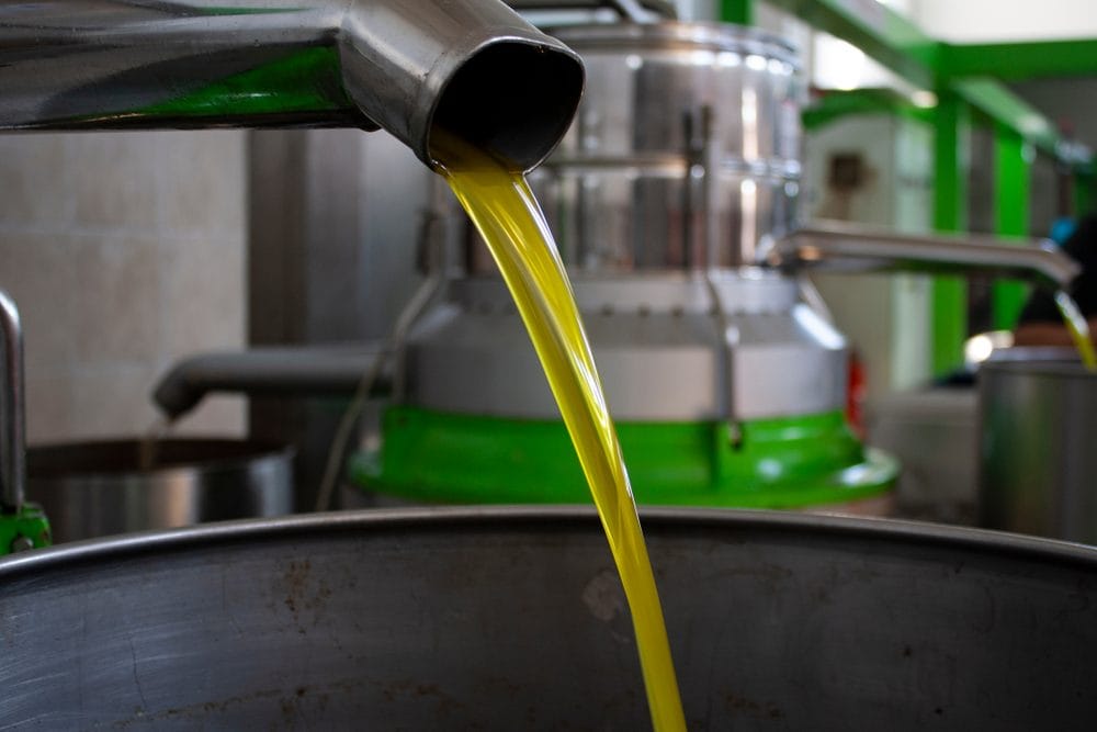 Olio estratto a freddo: cosa significa, quali sono i limiti di legge e perché conta