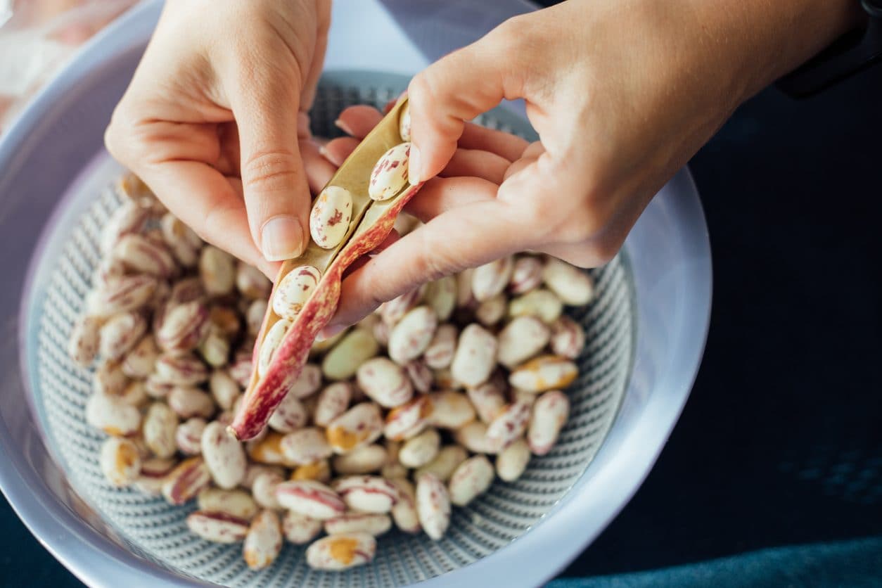 Come conservare i fagioli freschi: i metodi migliori