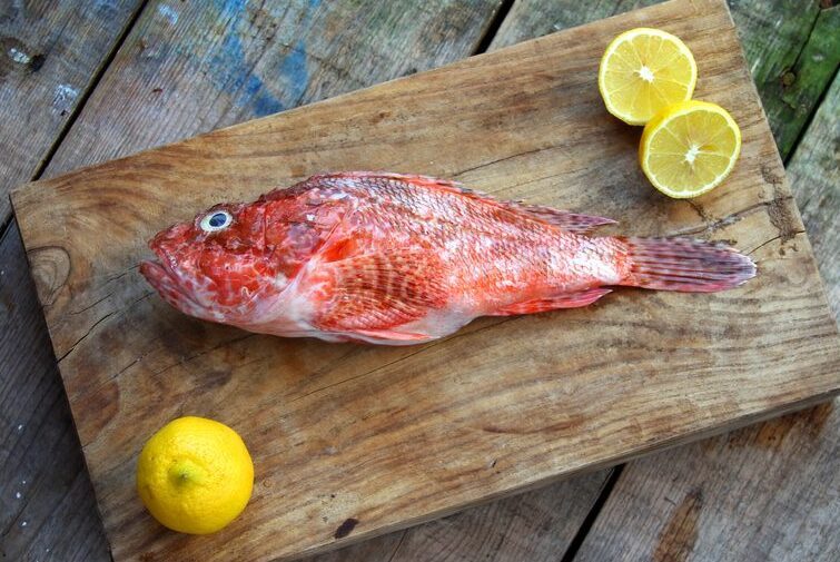 Scorfano: com'è fatto il pesce "brutto ma buono" e come usarlo al meglio
