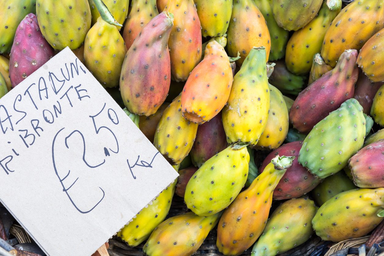 Fichi d'India da settembre a dicembre: tutti i segreti del "Bastardone", che produce frutti grandi e dolci