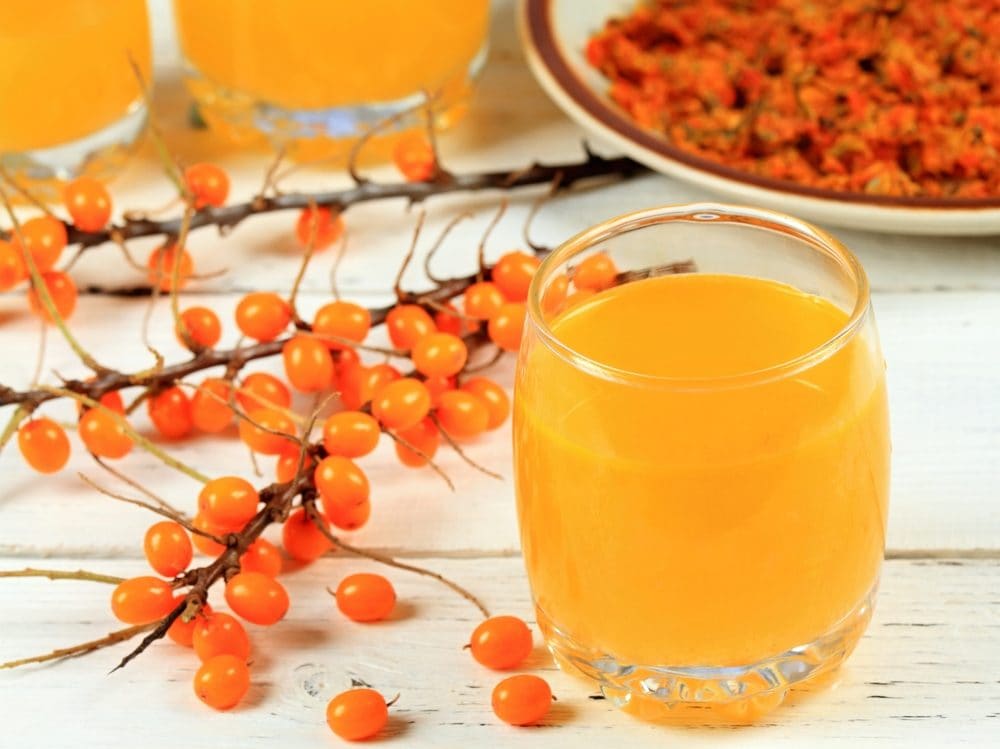 Olivello spinoso: tutte le proprietà e i consigli su come utilizzare la bacca che fa bene alla pelle