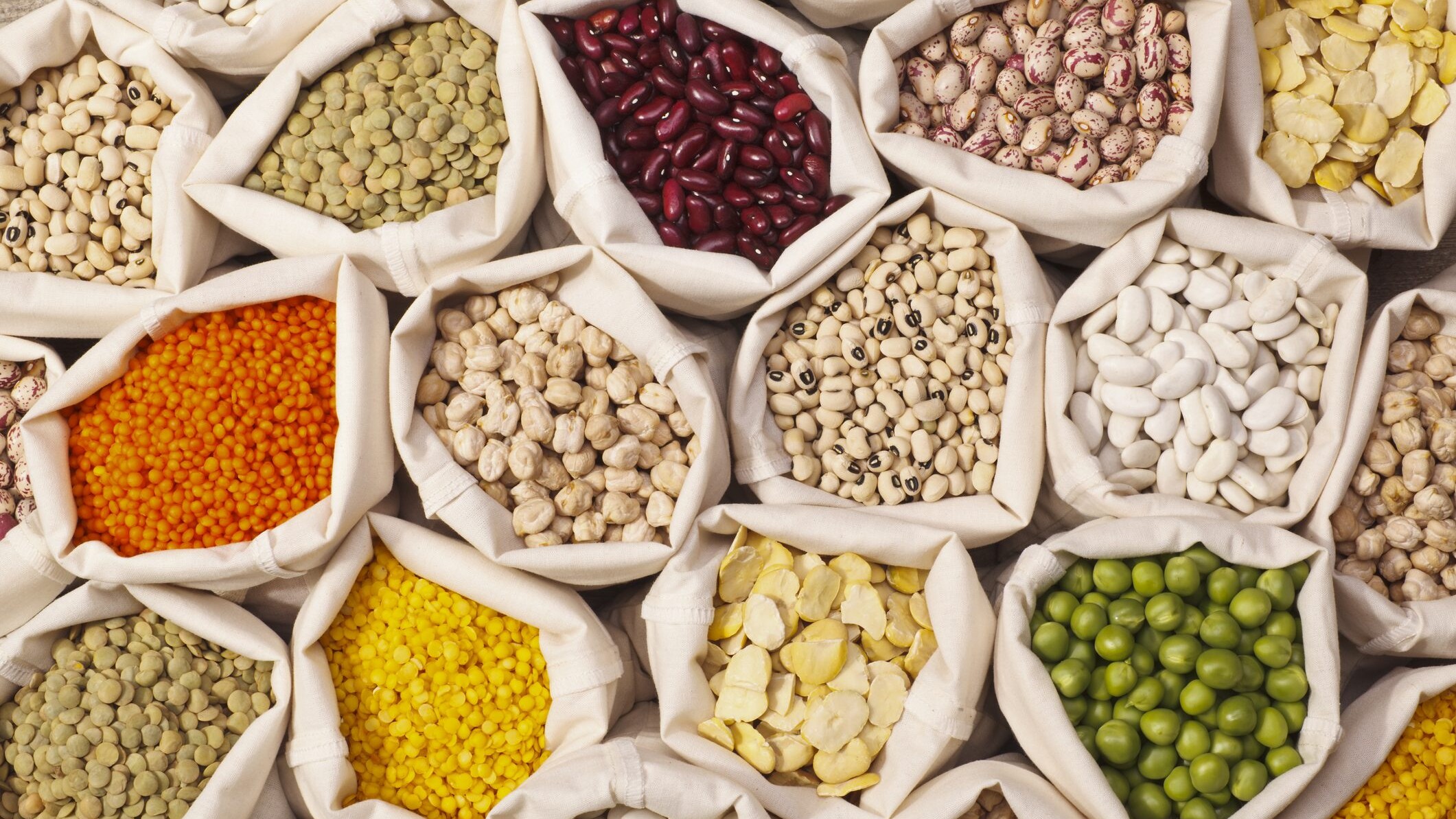 legumes