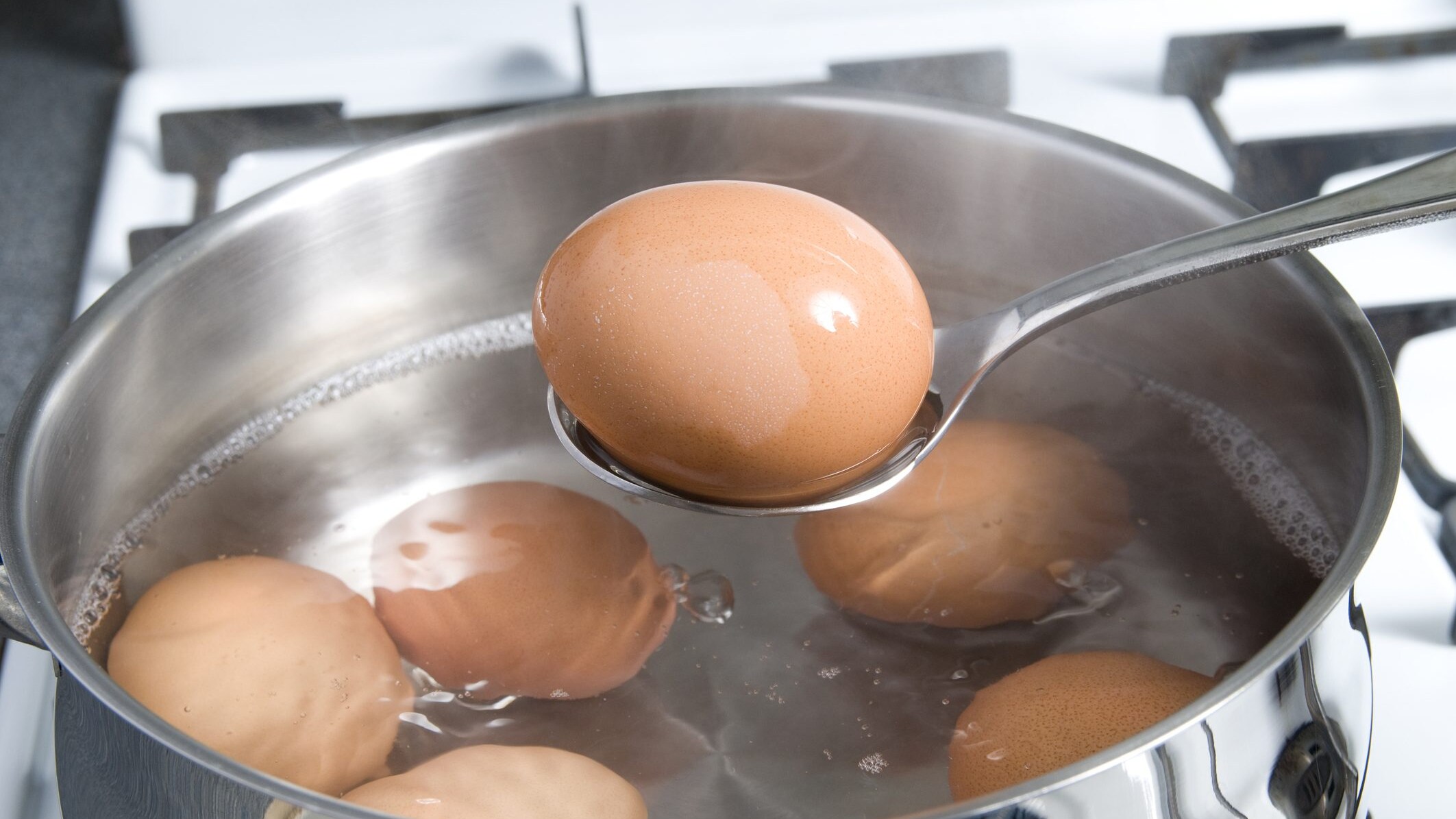 eggs