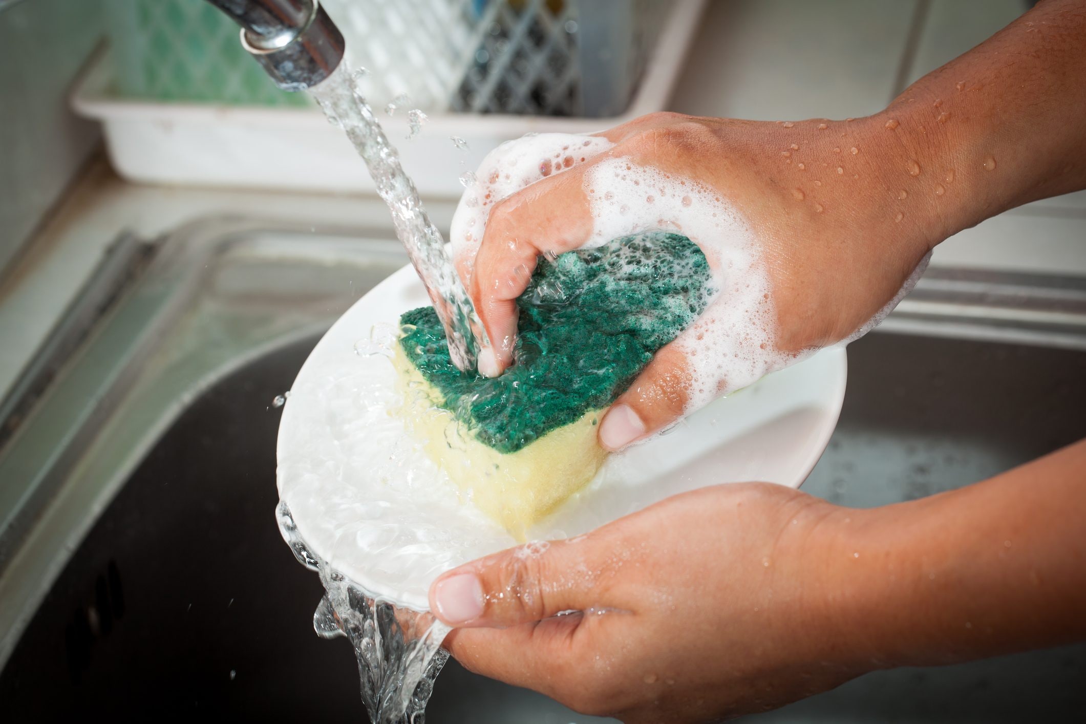 Kitchen sponge deals bacteria