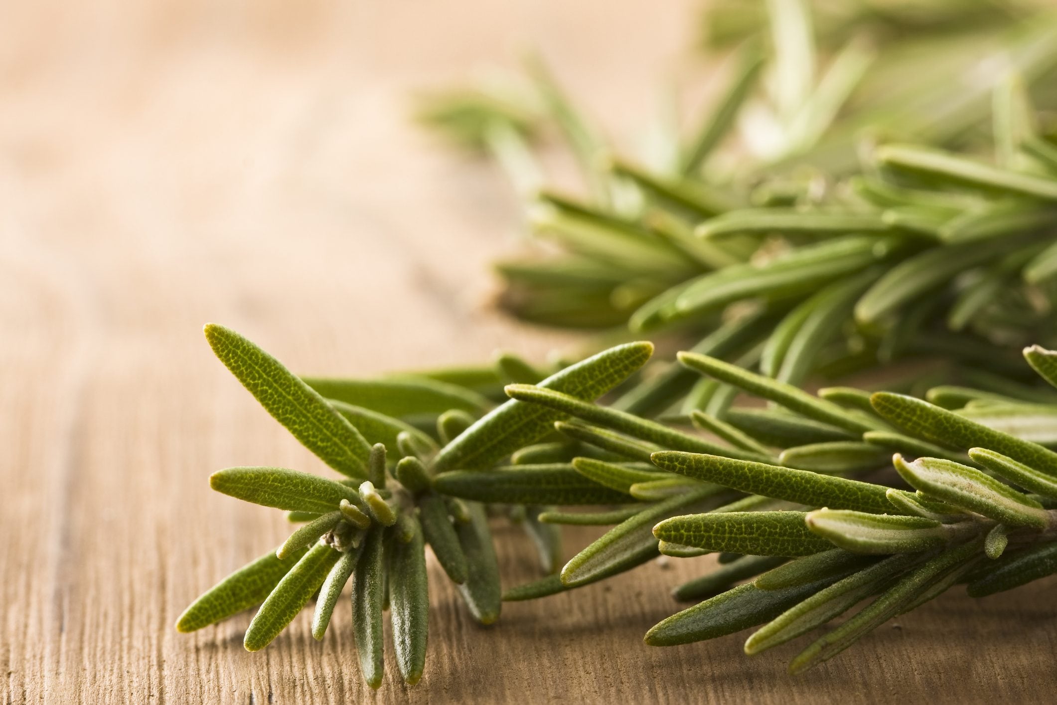 14 Benefits and Uses of Rosemary Essential Oil