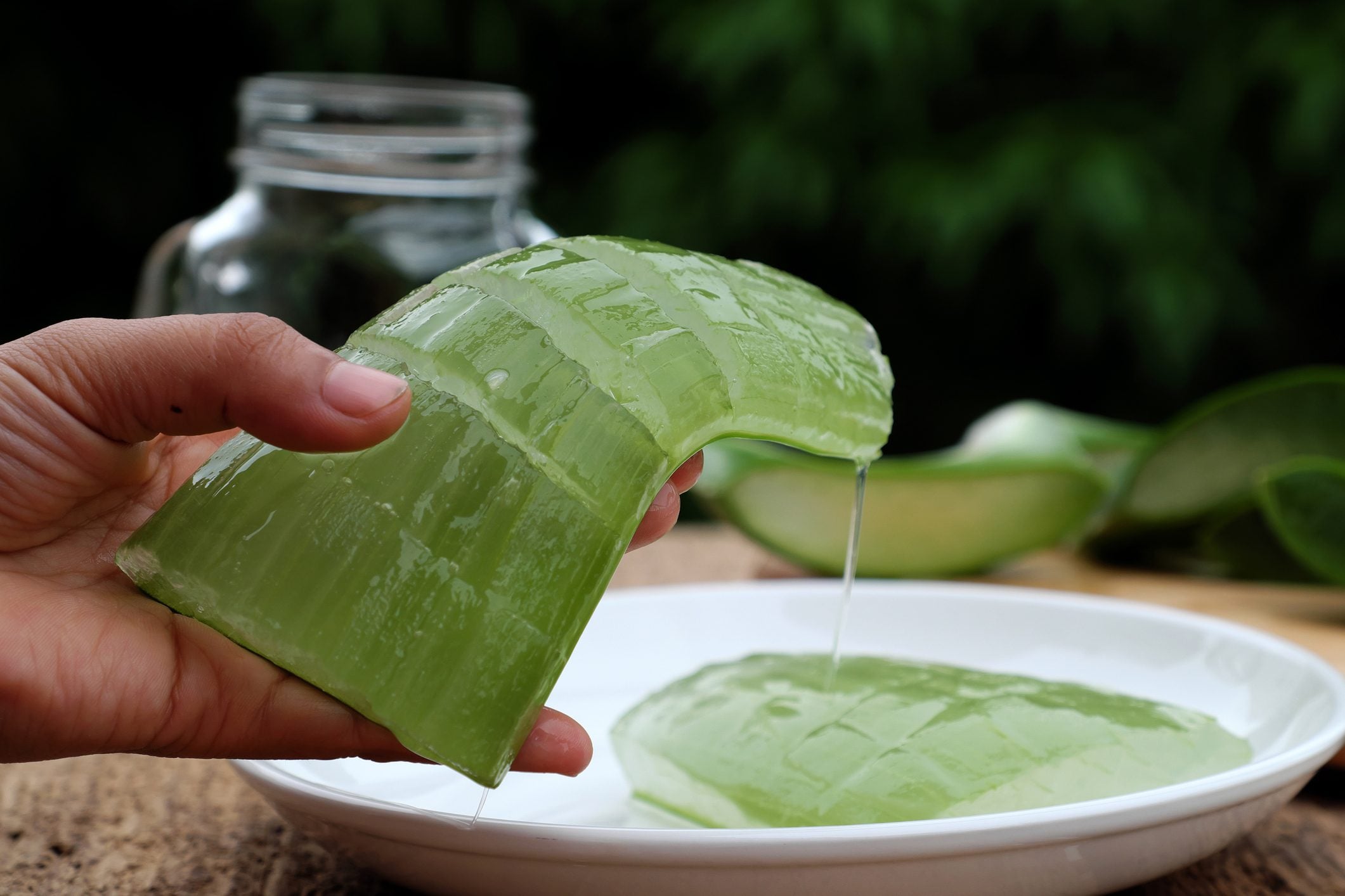 Сок алоэ для семян. 9. Aloe Vera. Сок листьев алоэ.