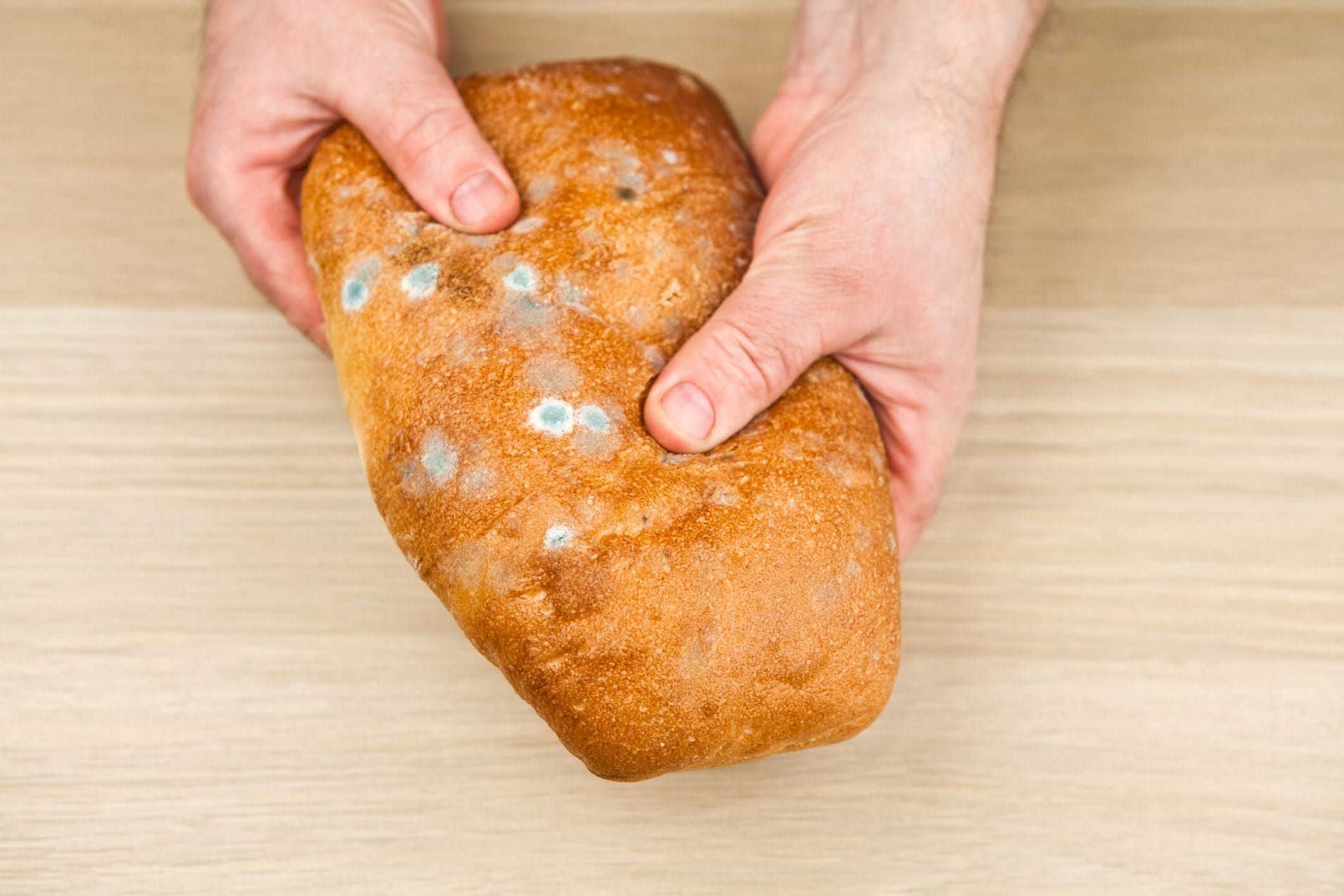 Never Eat The 'Clean' Part Of Moldy Bread 