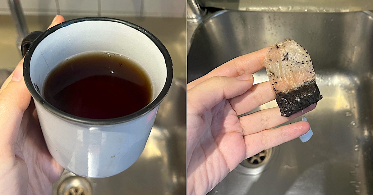 Here's The Correct Way To Dispose Of Tea Bags