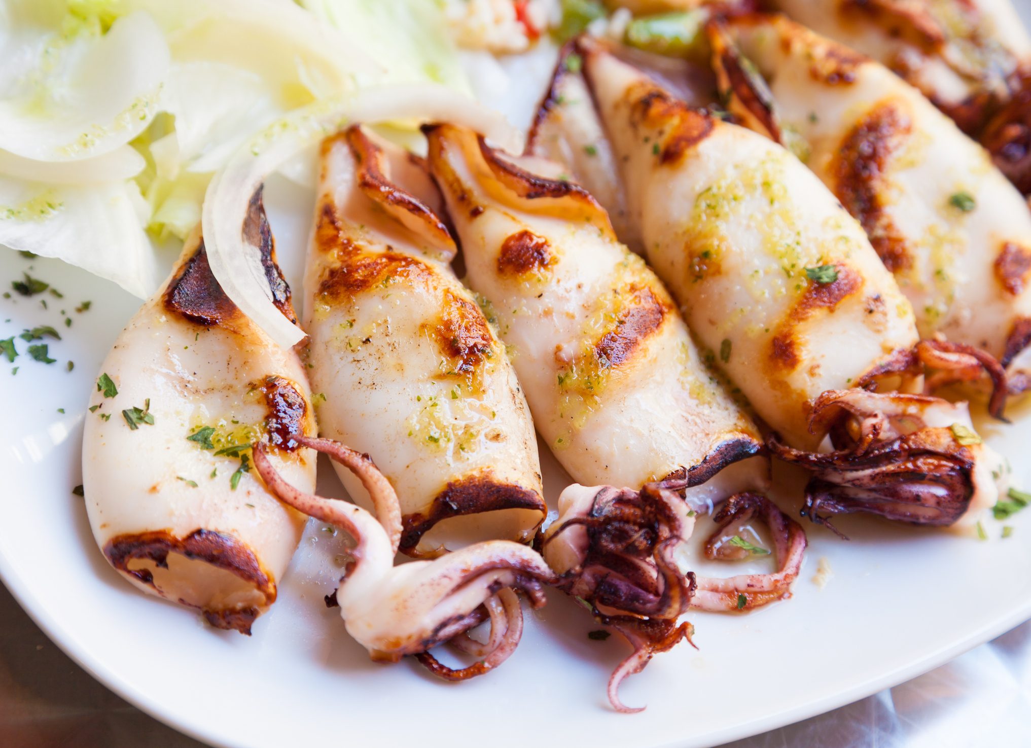 Squid VS Calamari VS Cuttlefish: What are the Differences and How to ...