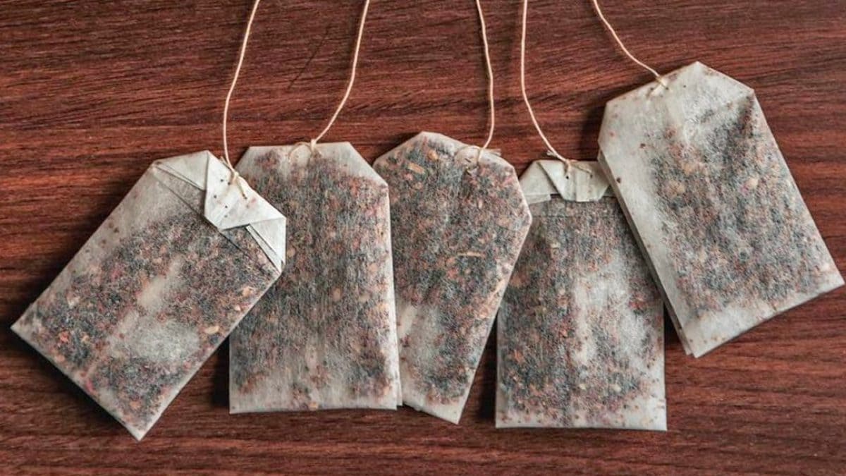 Why You Shouldn't Use Tea Bags