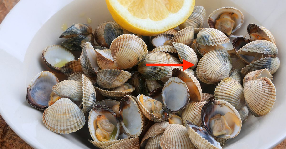 Why You Should Never Eat Unopened Clams
