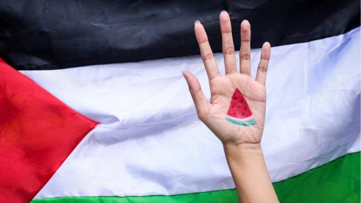 Why Watermelon Represent Palestine Flag Infoupdate
