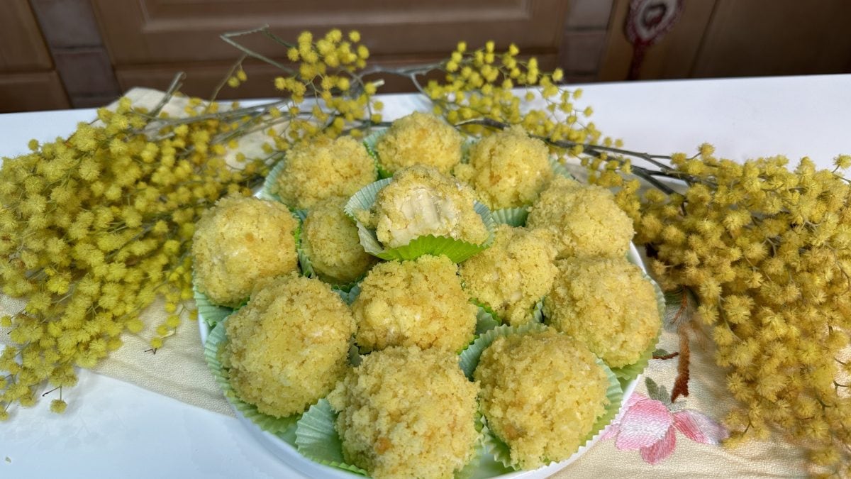 mimosa truffles