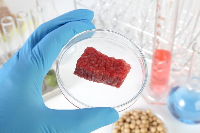 Lab-Grown Meat vs. Traditional Meat: The Future of Food or Just a Fad?