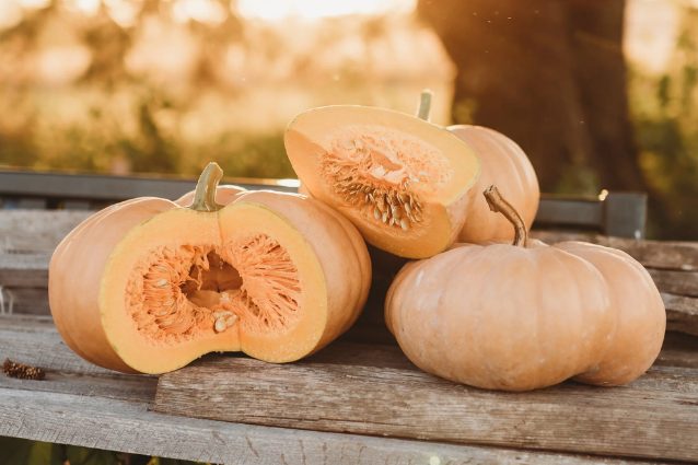 10 of The Most Well-Known and Widespread Varieties of Pumpkin