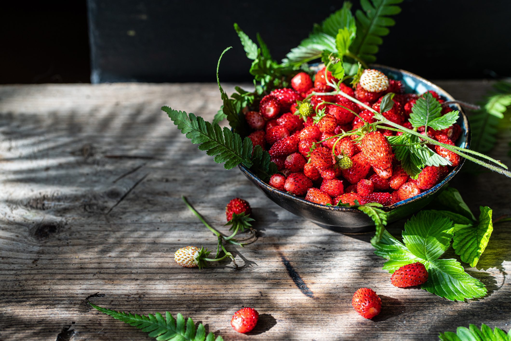 How to Grow Wild Strawberries At Home